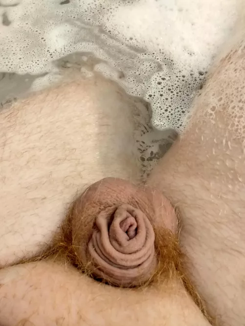 (26) It gets so small in the warm water! by WD-1123