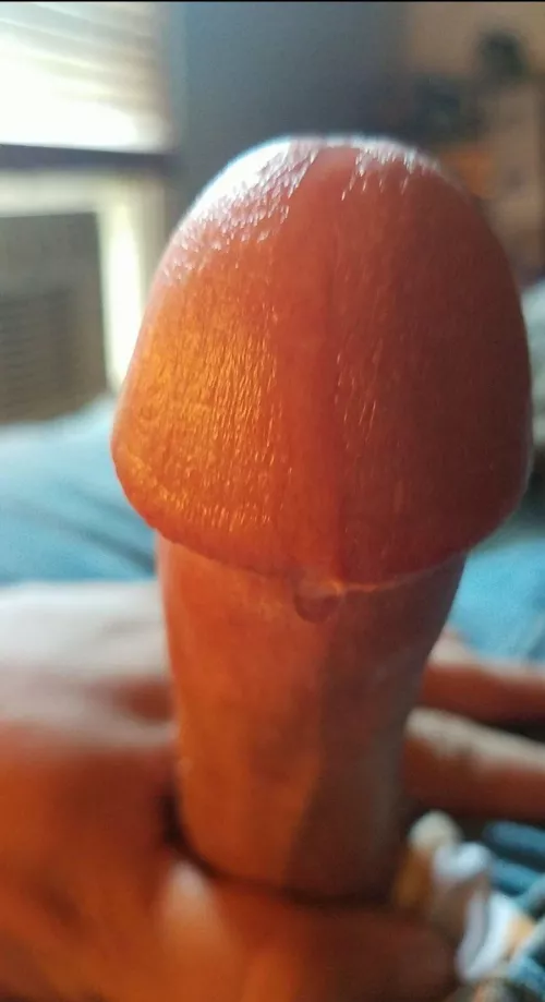 26 male looking for sexting buddies dm me those cocks and tight holes mmmmm fuck by ThatInkedcountry-boi