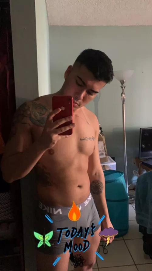 [26] not bi or wild but oh well… by Kind_Giraffe4800