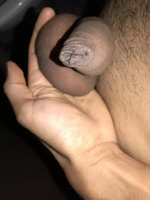 (26) 🙈 by Xfinyti