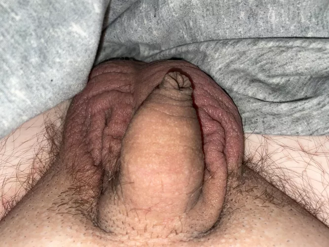 (26) thought I’d share a softy 😅 by smallpphere