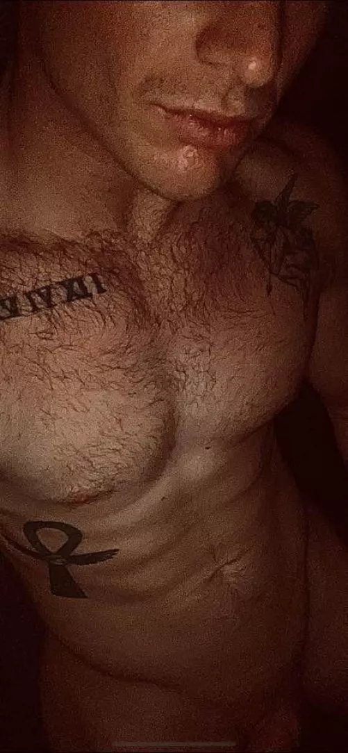 26M experienced bull for hotwife or mfm threesome. Raleigh, NC by Sebastian13lack