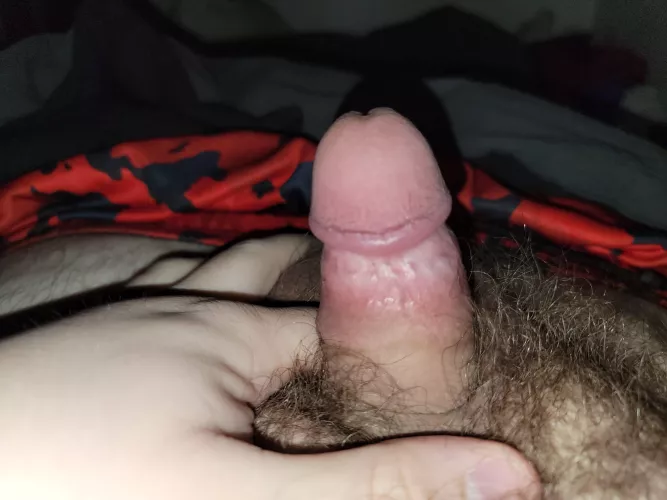 (27) 3 inch would love to top someone or talk by Superdingding1