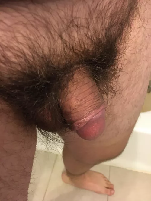 [27] Flaccid Dick by Hockeyguy023
