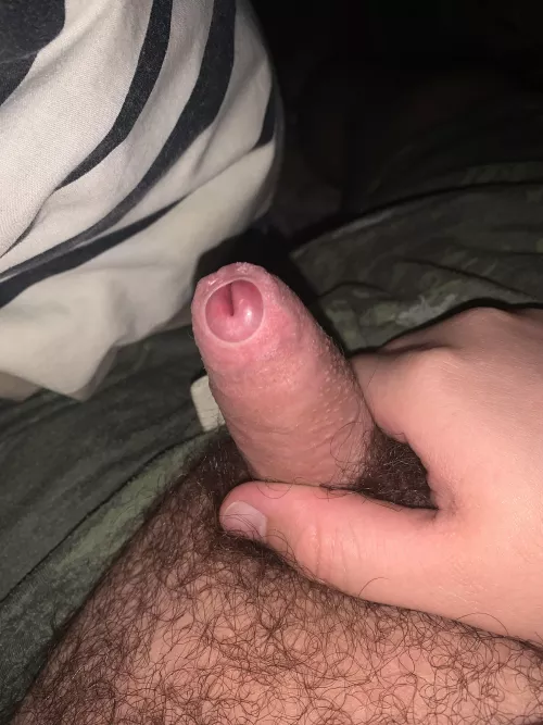 [27] Haven’t uploaded anything in a long while but i’m back and i’m horny right now by Throw_Away2794