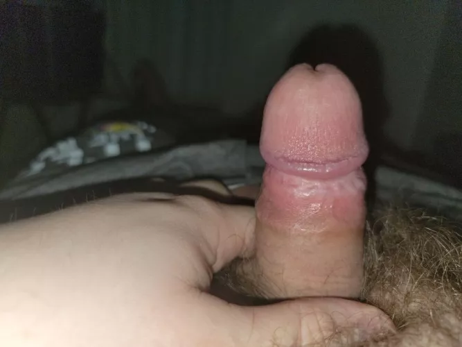 (27) lil 3 inch guy would love to top someone. Any takers 😉 by Superdingding1