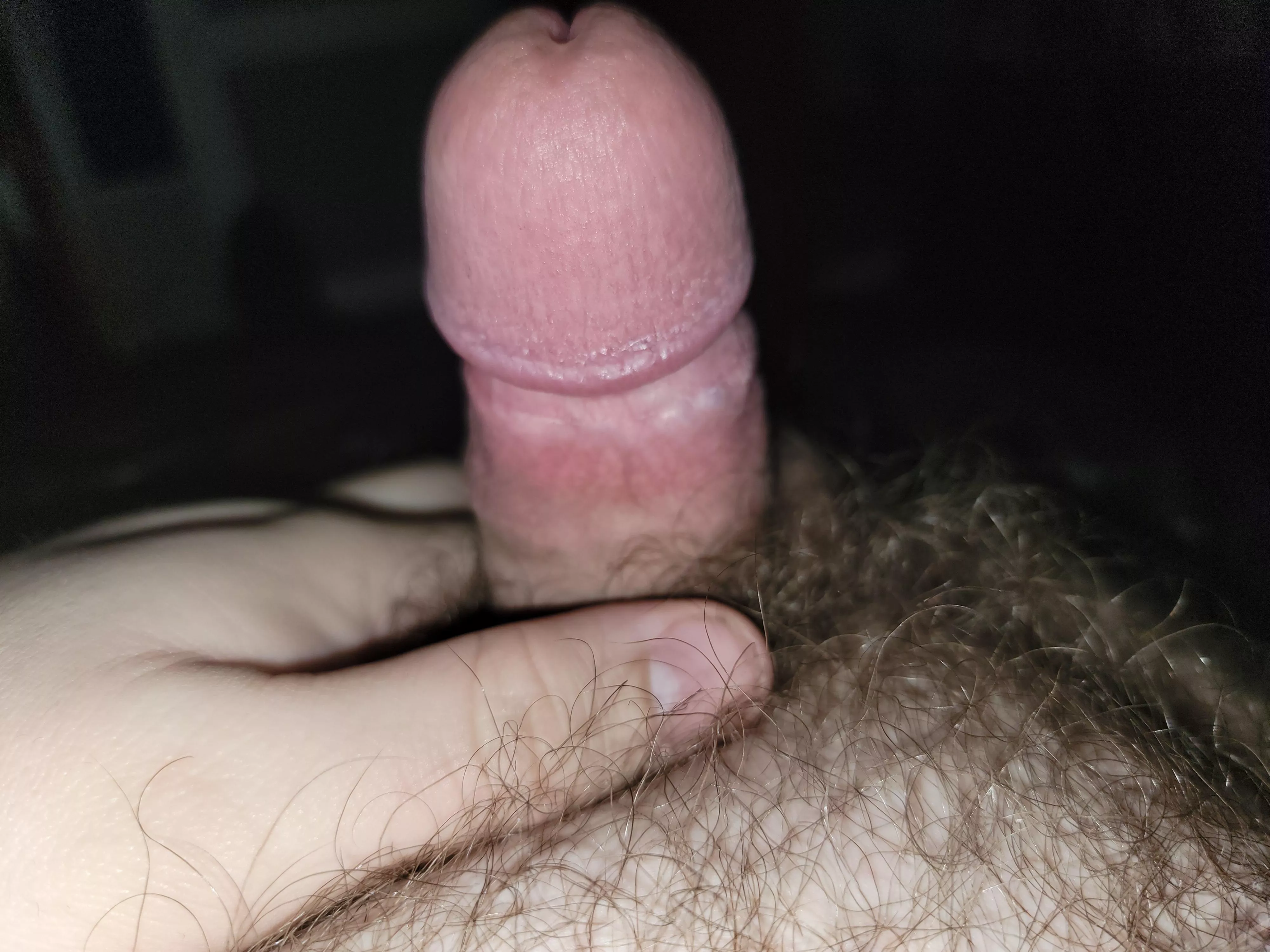 (27) little 3 inch guy looking to dom or play. Don't be shy he doesn't bit 😉 posted by Superdingding1