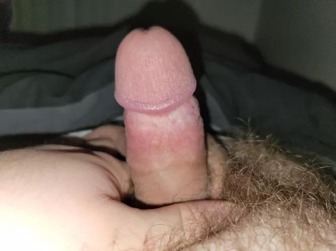 (27) little 3 inch looking to top someone any takers by Superdingding1