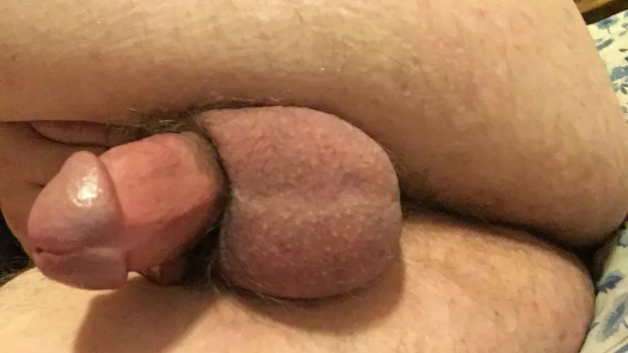 (27yo) please help me cum. I just really want someone to talk dirty to me 🤤maybe more 😉 by TradingPostNSFW