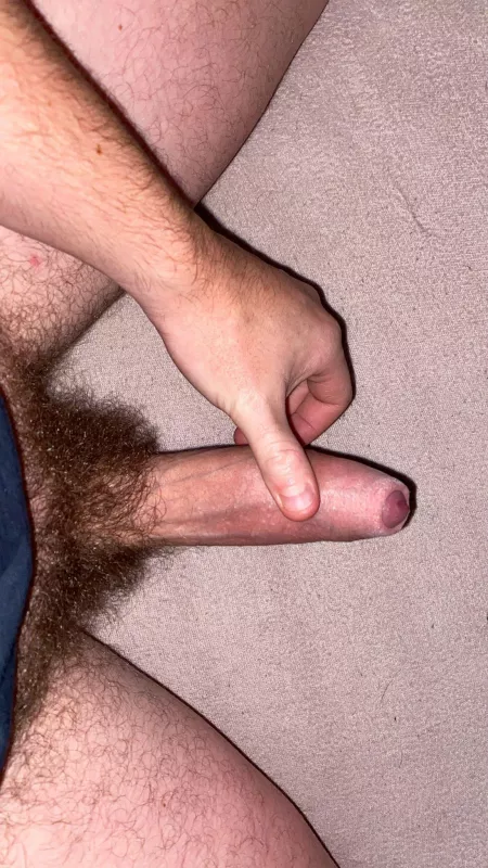 28 m/ looking for hairy dick wank buddy with ONLY !! untrimmed natural bush the hairier you are the better and with FACE snap: marc.boy23 😁 by Hairygayboy1