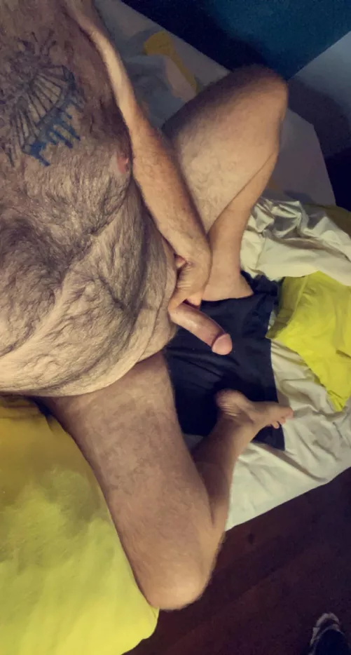 (28) by musician3939