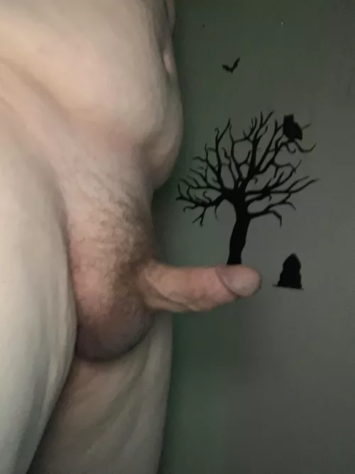 28m Finally Friday by funbunboomer