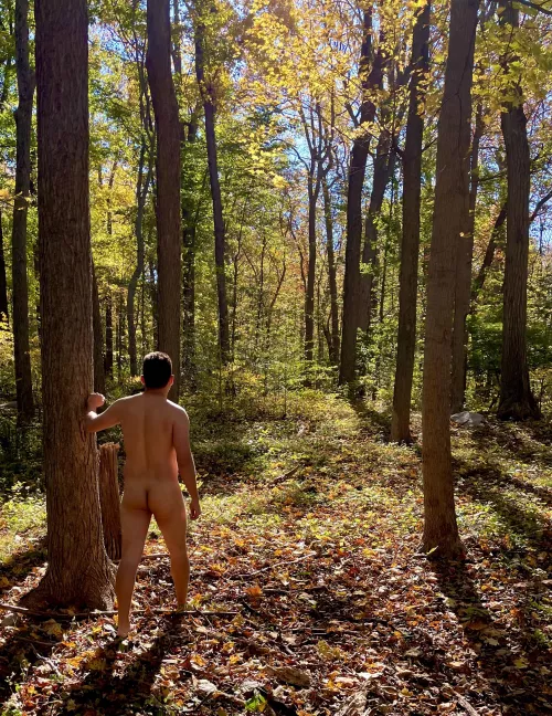 [29] Ass in the wild by studly_sandy_eggo