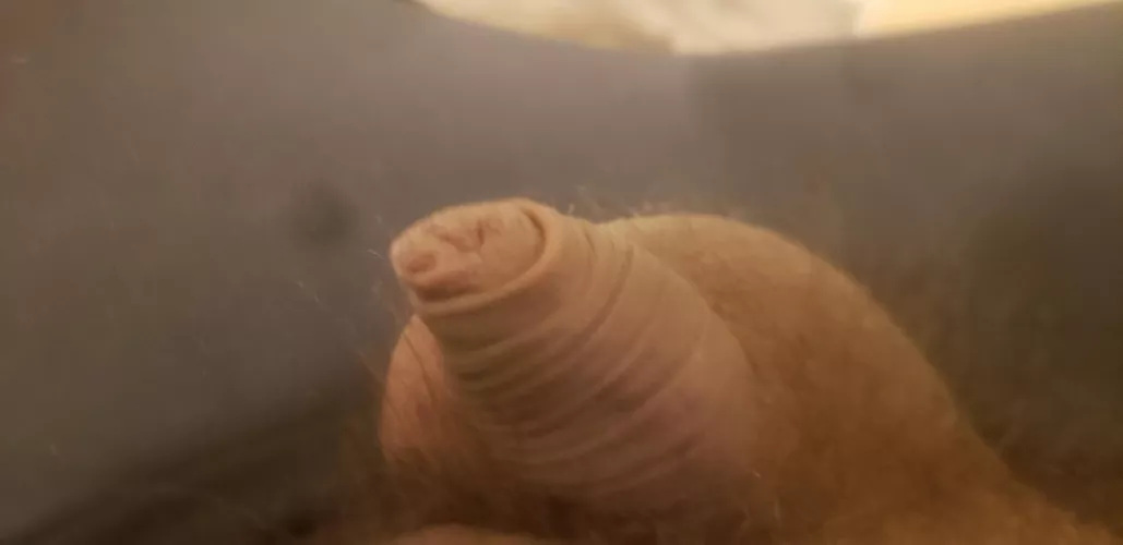 [29] what yall think by Bubbly_Doughnut6621