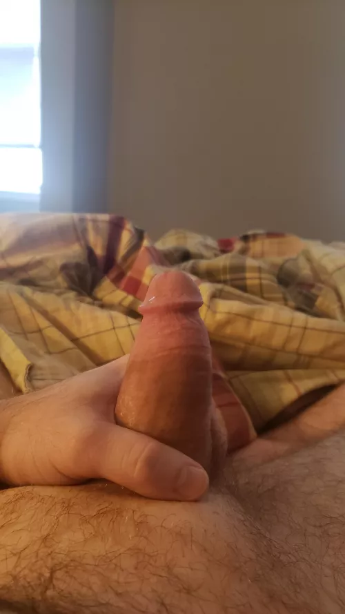 (29) who can help me by wankerid