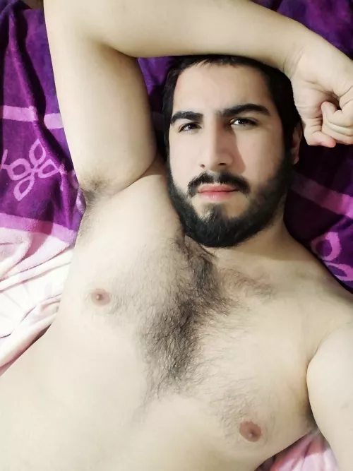 29M Looking for a lomg term relationship with a nice hairy dude near to my age (I love blue/ green eyes 🙈) Feel free to contact me! I'm super friendly 😊 by Moonbear30