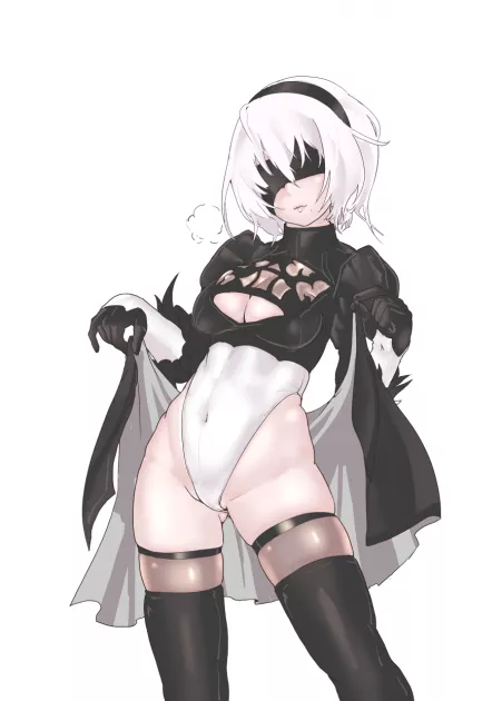 2B Taking Off Her Skirt (Mersoleil03) [Nier] (x-post from r/animebodysuits) by sequence_string