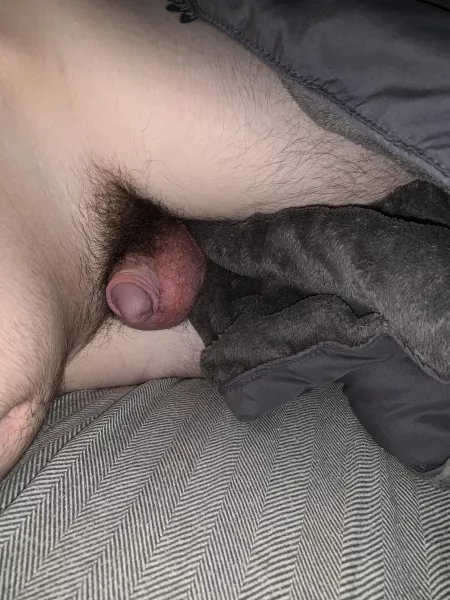 :3 [21] by Soft_Bird_8485