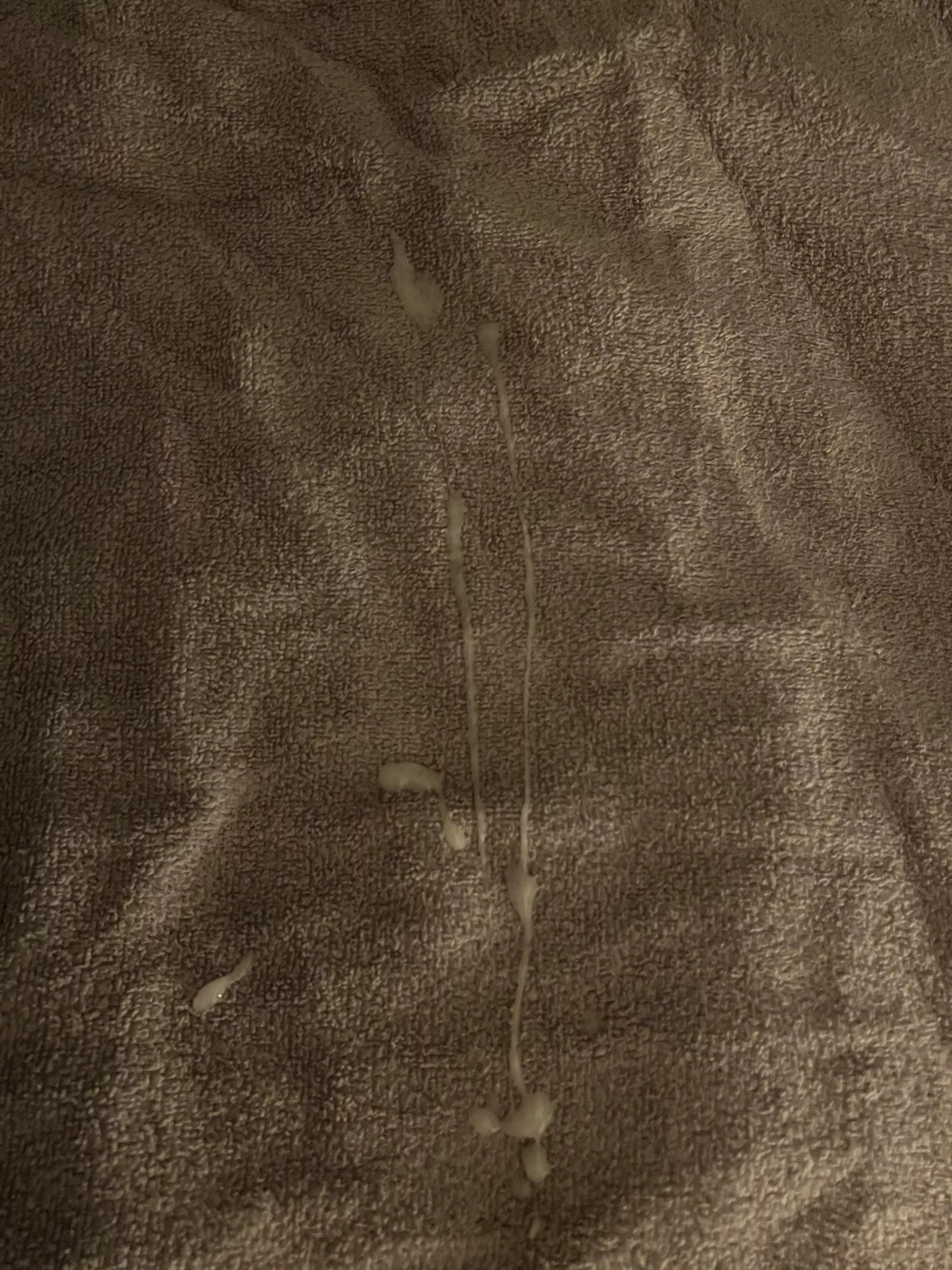 3 day old load 😈 posted by WhichDivide3321