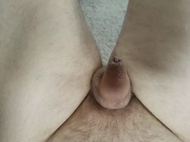 (30) Am I small enough to be on here? by fjiffhjj