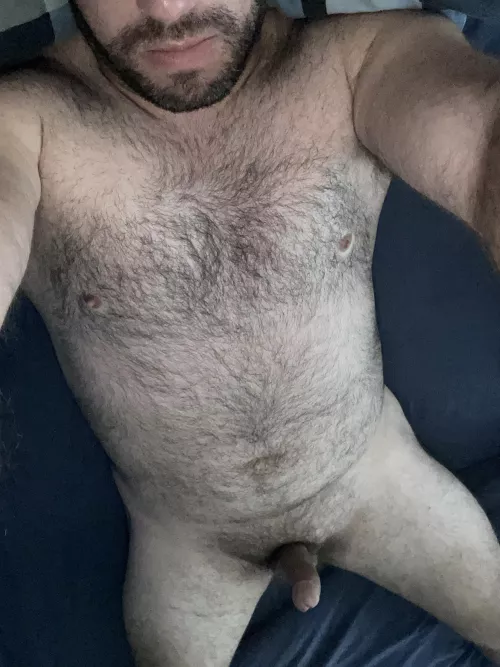 30 horny Aussie bear! Feel free to tell me what you think or what you’d do to me. DM’s open by biaussieguy91