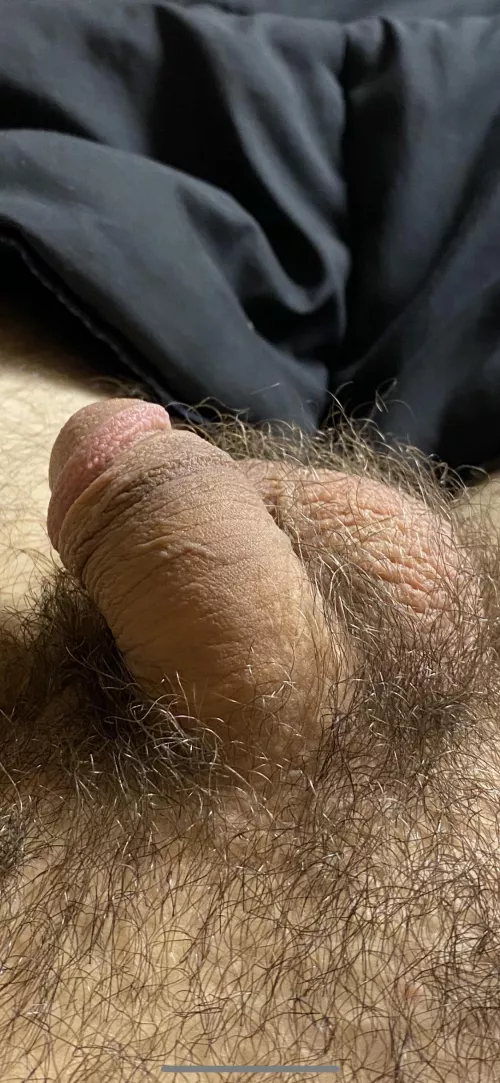 (30) up close and personal by jimster4512