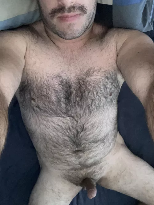 30yr old Aussie bi bear, tell me what you think. DM’s open, snap on profile too ;) by biaussieguy91