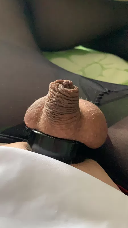 [31] have a nice day all by sweeeeetboy1111