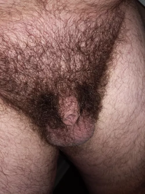 [31] hidden in the hair by sasquatch19901