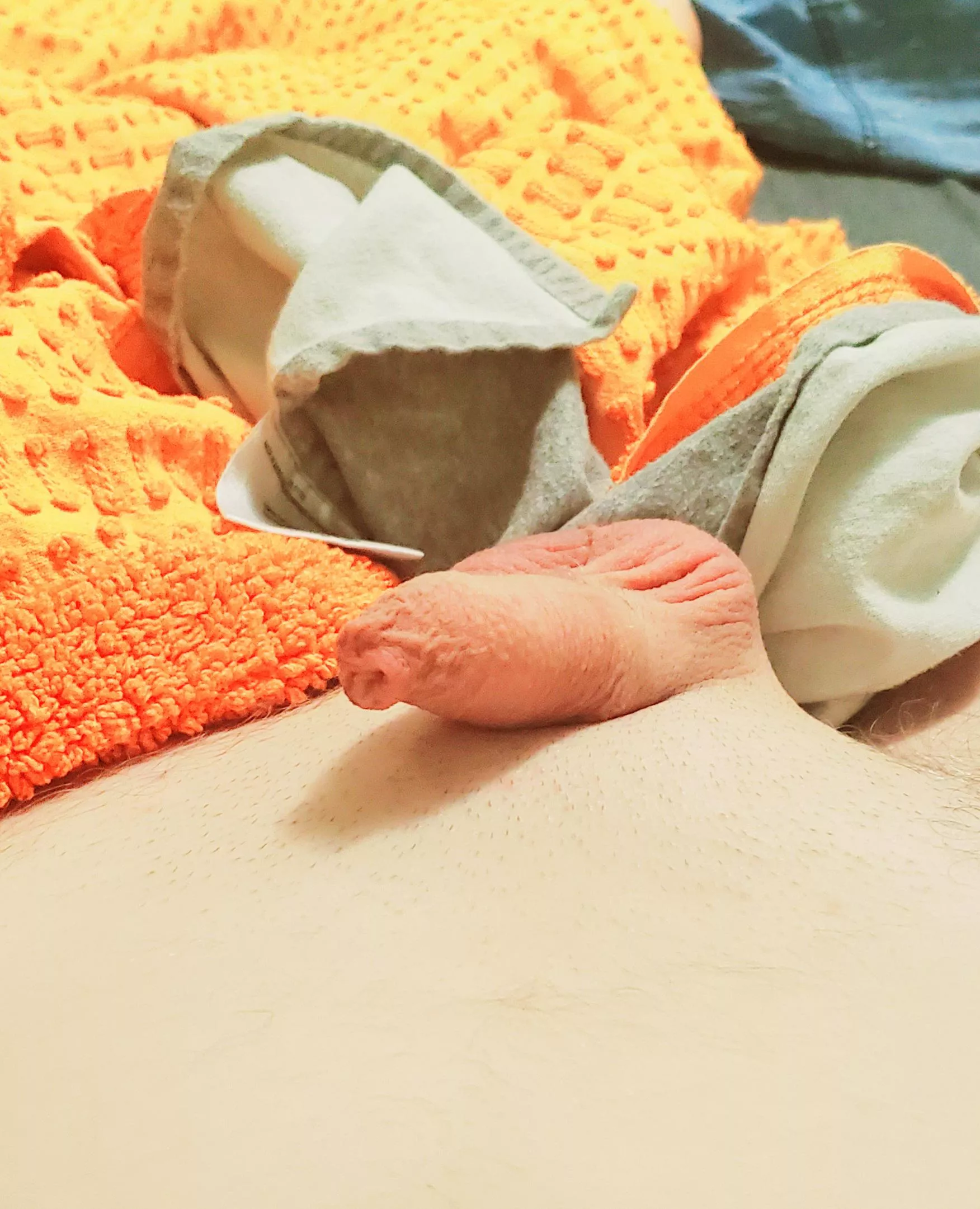 [31] I won't be able to sleep unless someone takes care of my pp. Please help posted by imsoretro