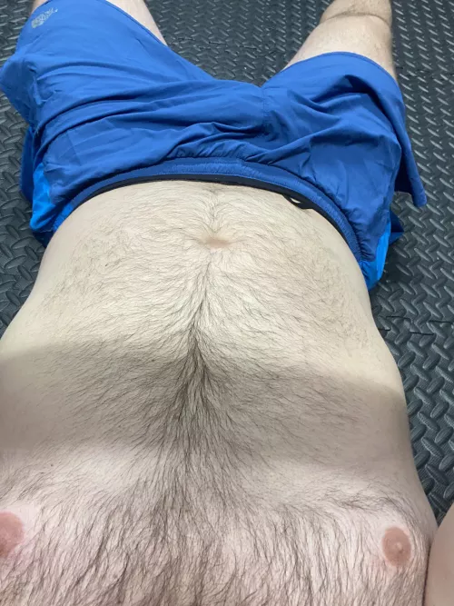 31 in the home gym by stlgwthrowaway