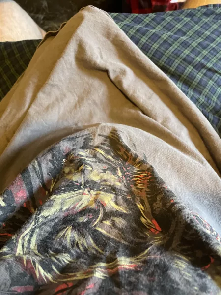 (31) my snake is very solid by Newjoestar