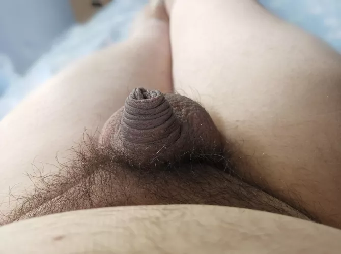 (31) not a shower...or a grower. 😶 by adodobo