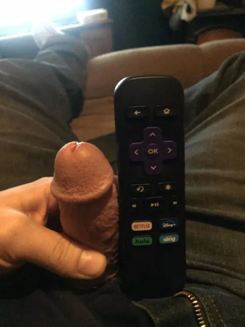 [31] Roku comparison. by FurryCatEater