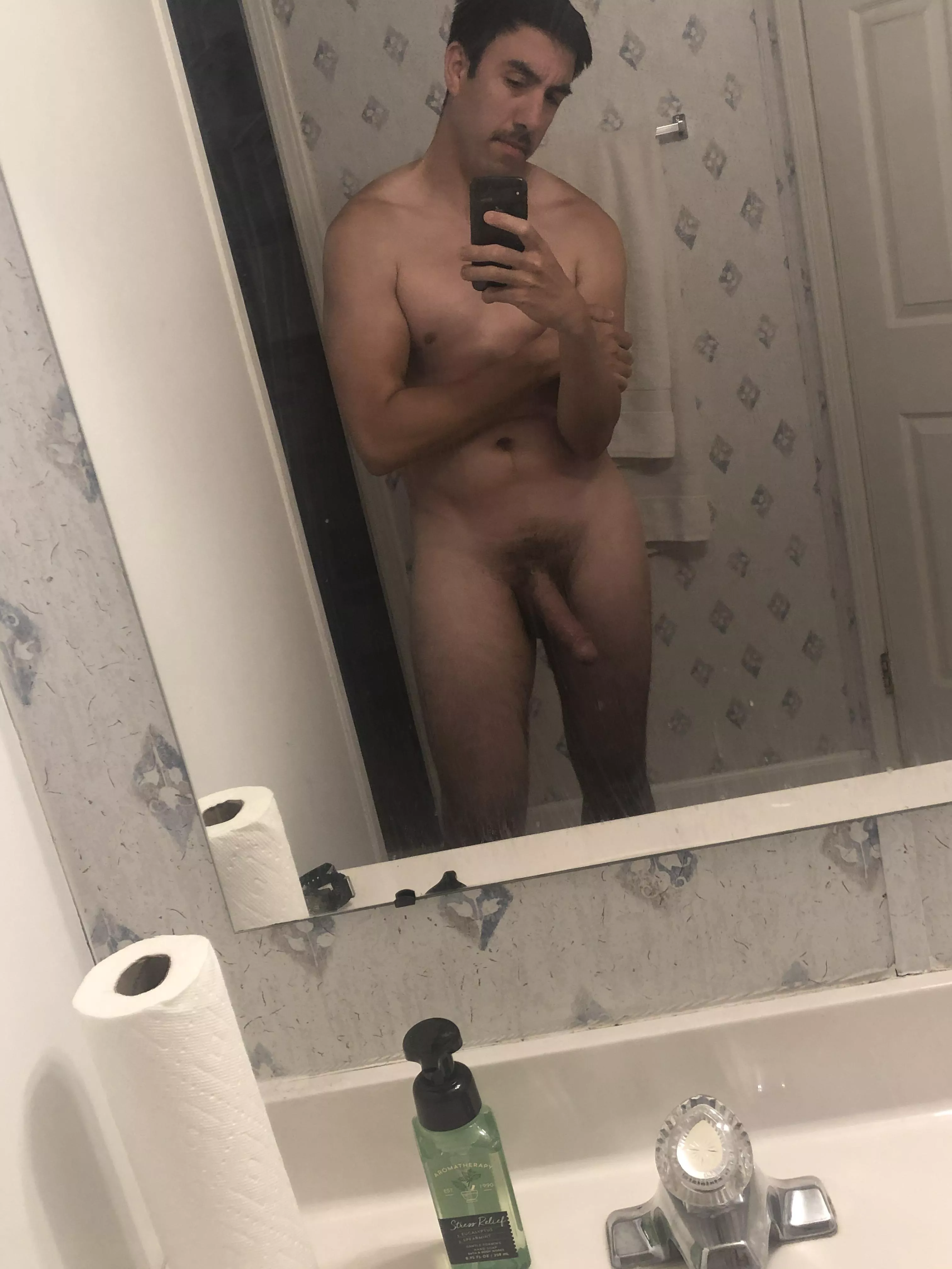 31 year old Texas Bull. posted by [deleted]