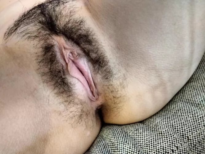 31F 😇 The full bush, 1 month of growth. First time I've ever grown it out all the way. by highbeambb91