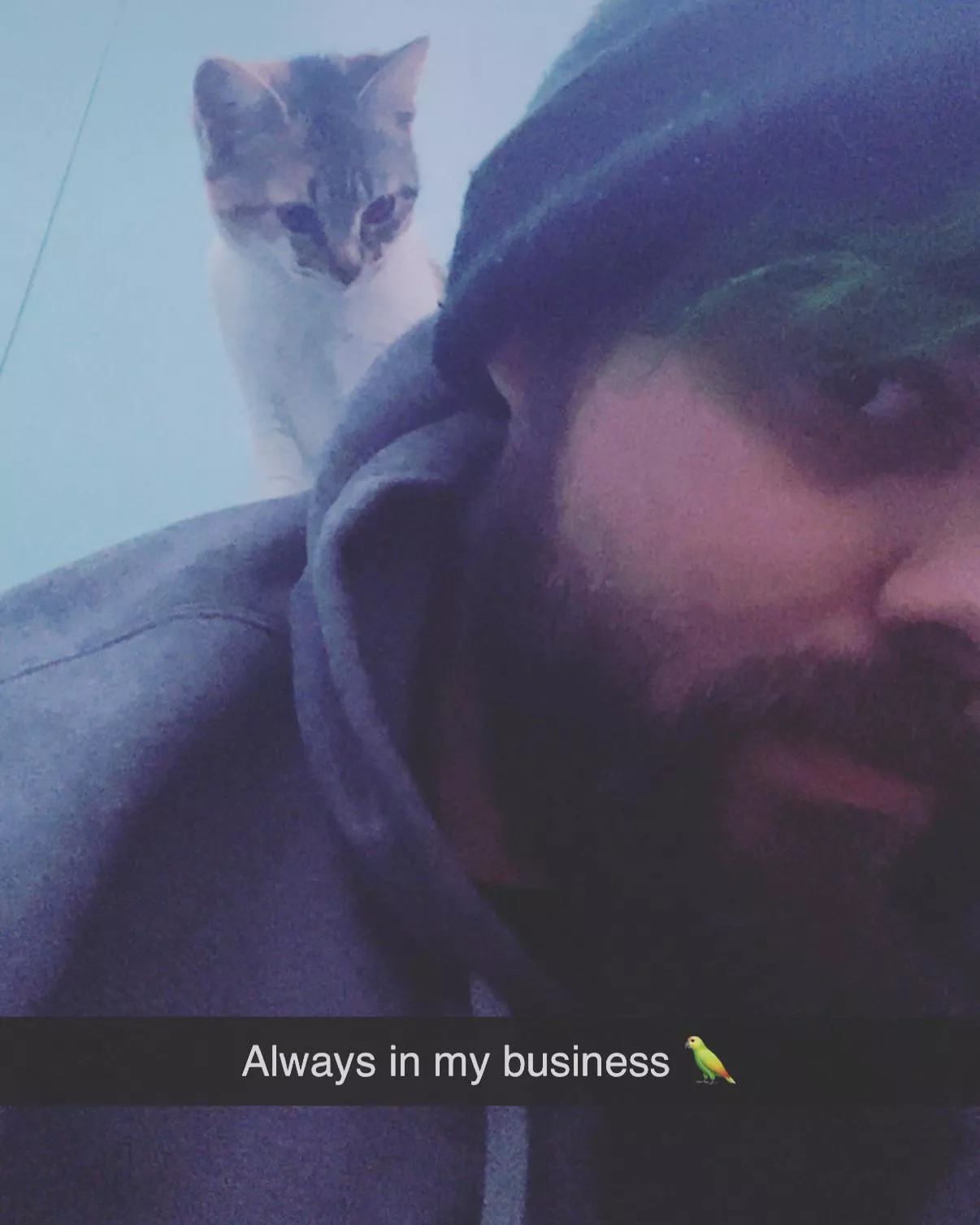 31m looking for a little that likes to chat I’m just a lost daddy posted by Key-Society-8444