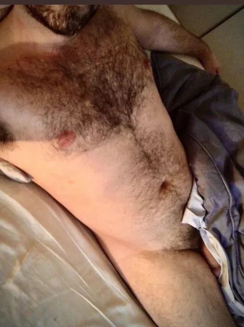 (32) looking for Papa bear. by gglass89