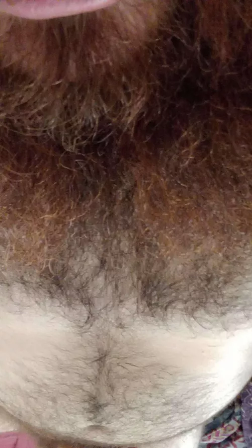 32 uk anyone into hairy chest and belly, DMs open by soki89