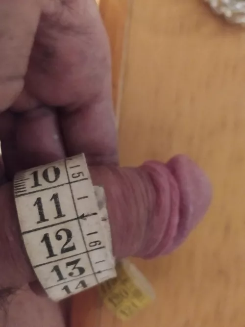 (33) chubby? opinions? by jorgemix20