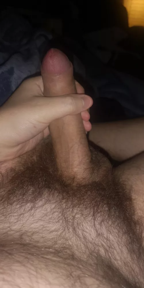 33, Gay, Dutch. Have a big bush, be natural and under 35 yo. Oh and be happy! 😬🥳 by ThomasDutchGinKing