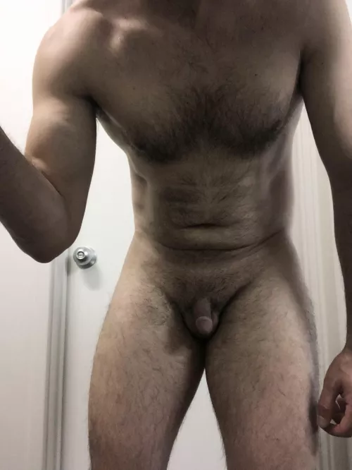 (33) I could fuck a cheerio without breaking it by jdawson2018