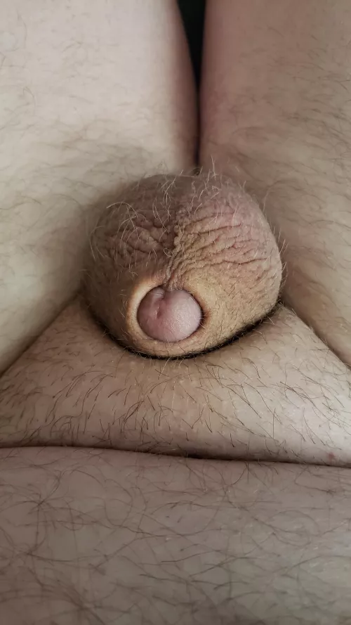 [33] Just a tiny one by Small_schlong88