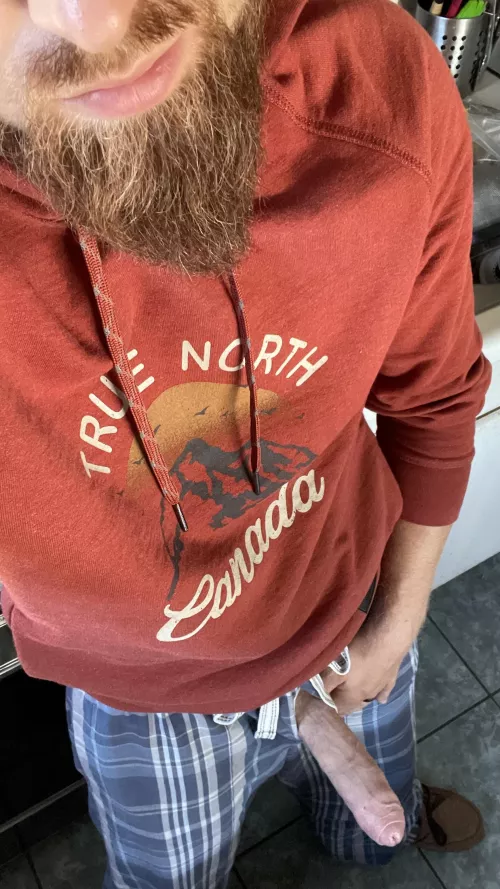 33M Bull Toronto by HUNG_FUN_