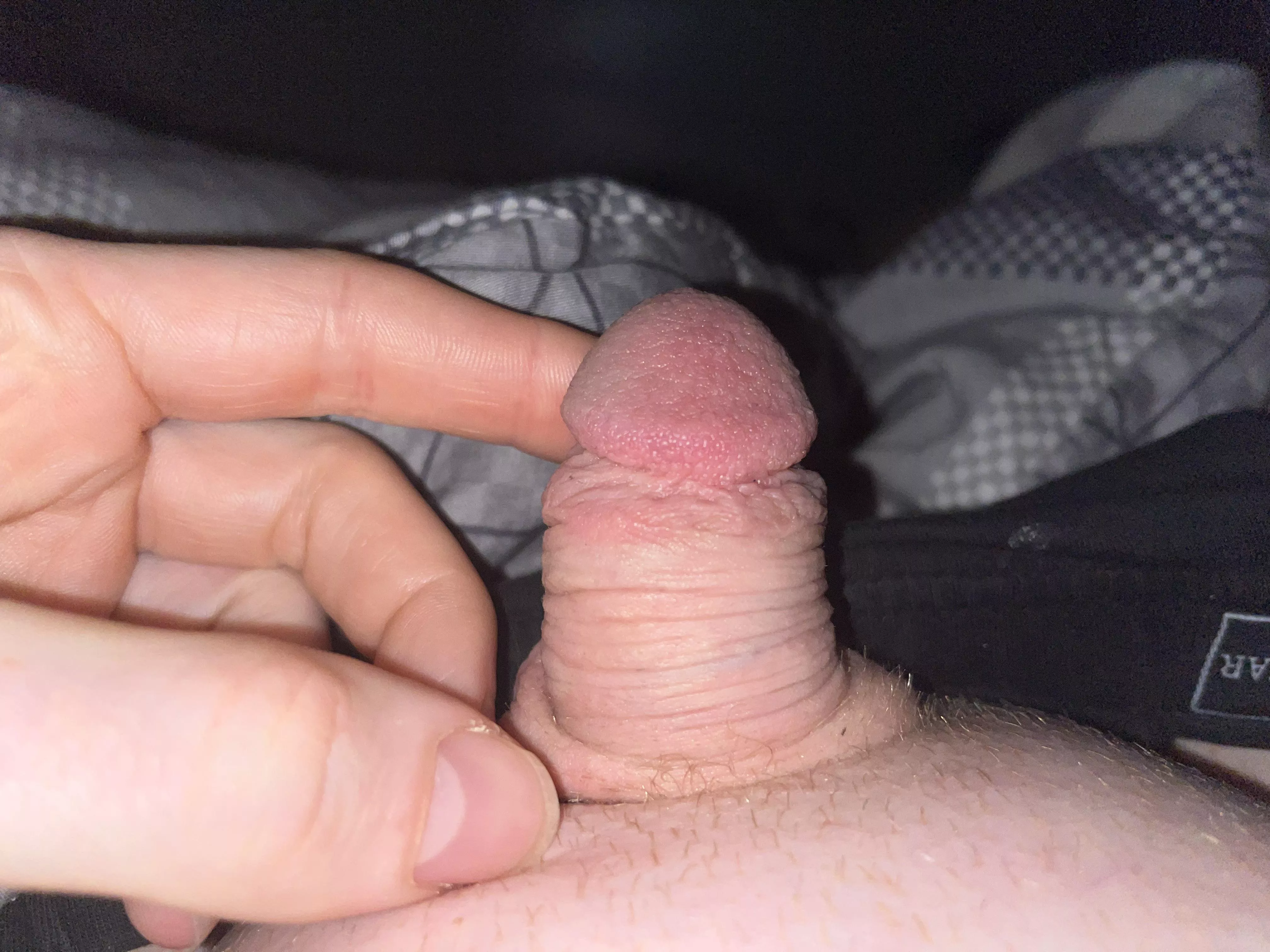 [34] my cock when it’s soft … would you call it tiny? posted by cutgingerdick87