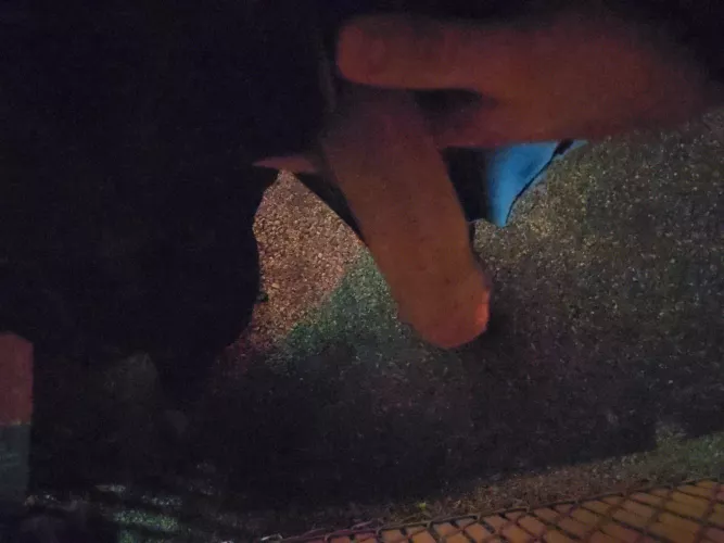 35 bi Midwest LEO. Its cold out, can you tell. by Leonick617