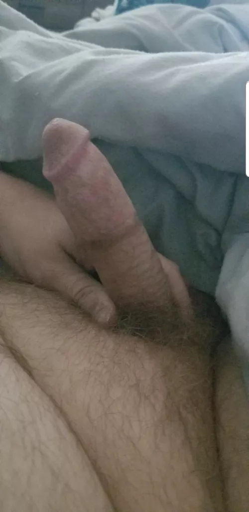 (35) looking for other chubby small dick guys to jerk with by peeps20201