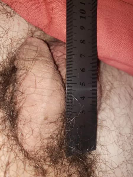 [35] small and hairy by xptobr