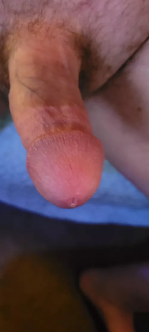 [37] Airing Out and Letting Things Hang by Gener_Weener