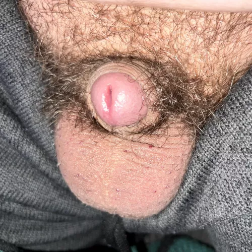 [37] Another cold Wisconsin morning 🥶 by royaltechnicality84